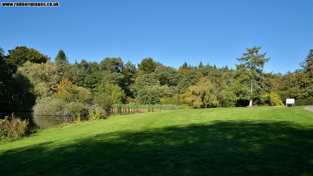 John F Kennedy Arboretum