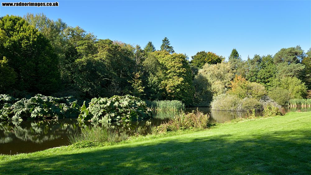 John F Kennedy Arboretum