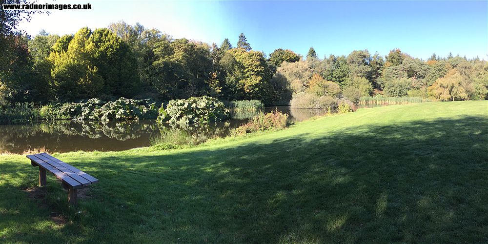 John F Kennedy Arboretum