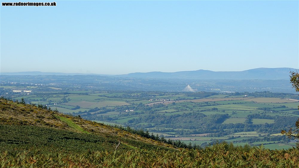 John F Kennedy Arboretum