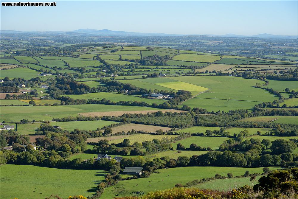 John F Kennedy Arboretum
