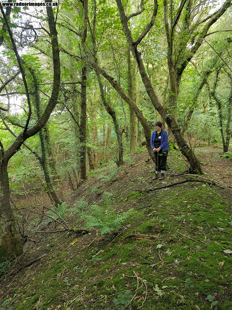 Leighton Arboretum
