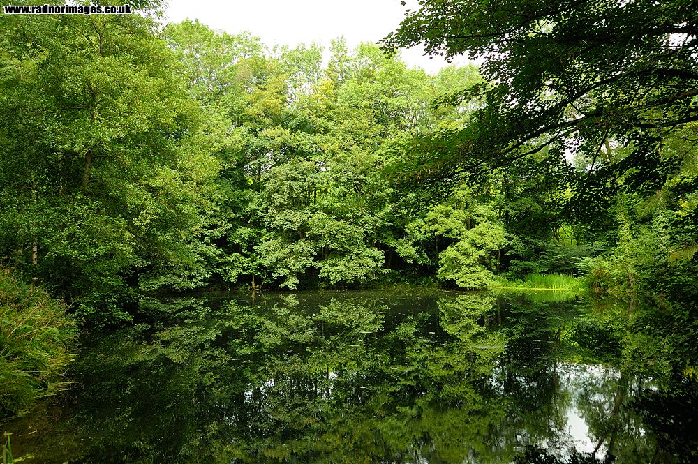 Leighton Arboretum