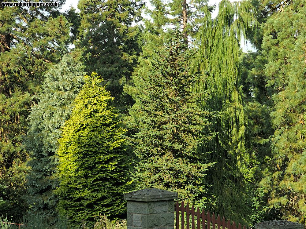 Leighton Arboretum