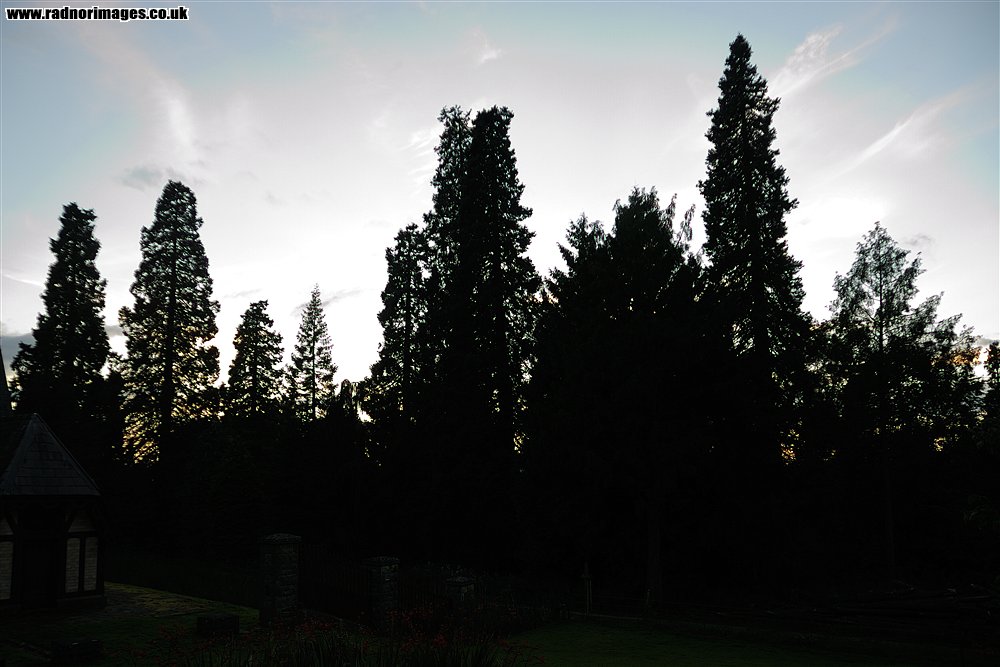 Leighton Arboretum