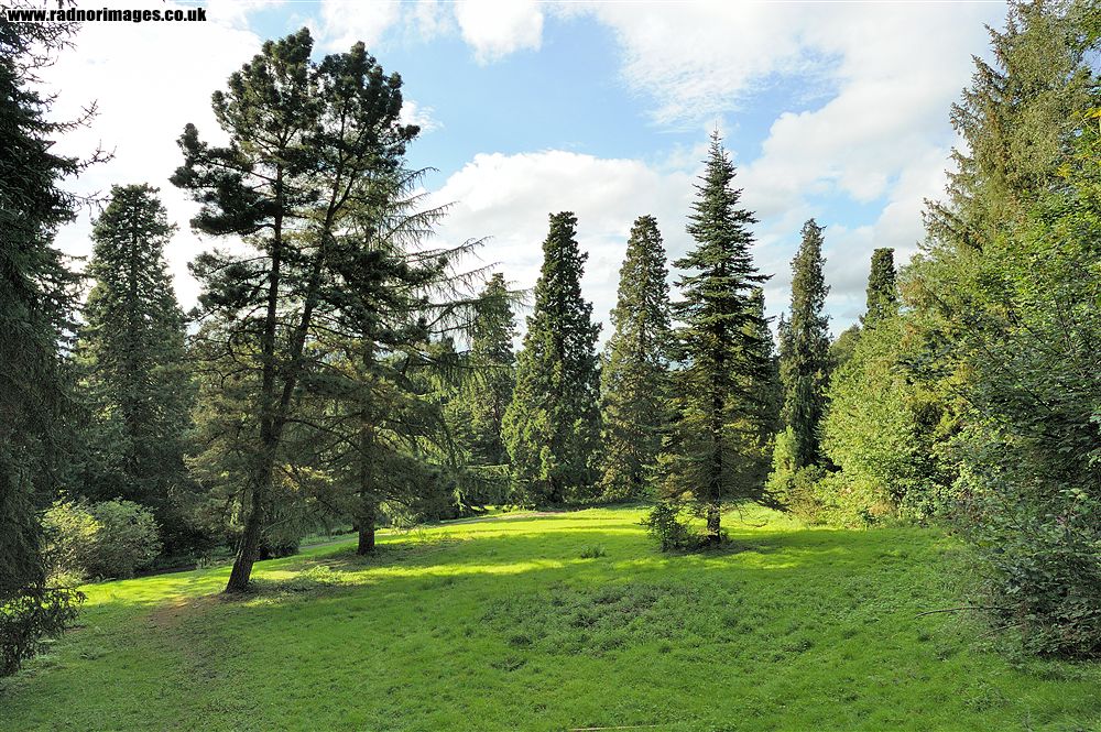 Leighton Arboretum