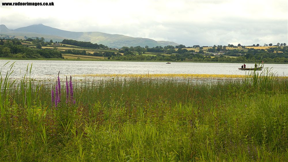 Llangors Lake