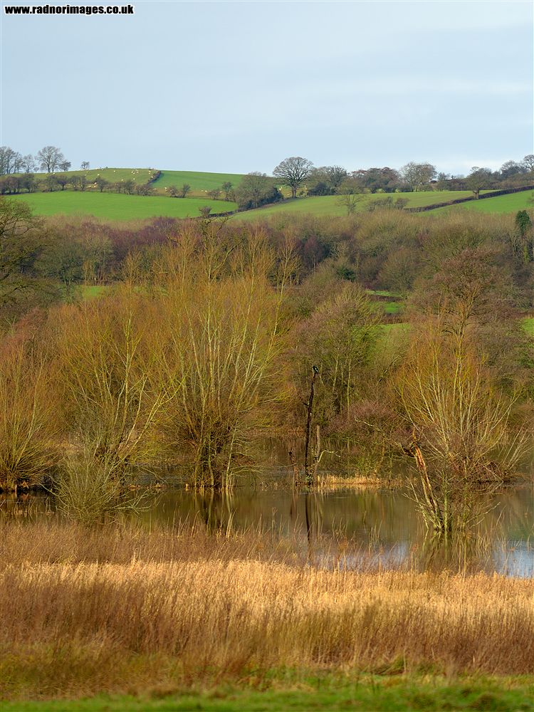 Llangors Lake