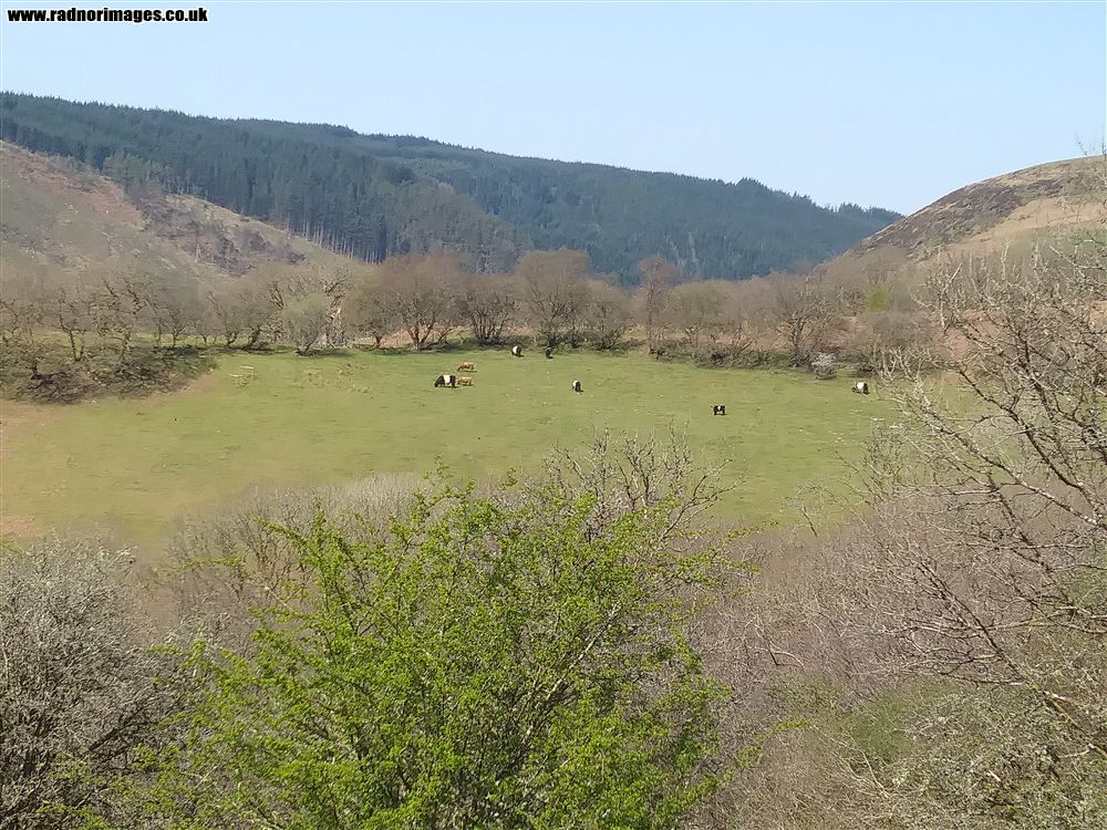 Llanwrtyd