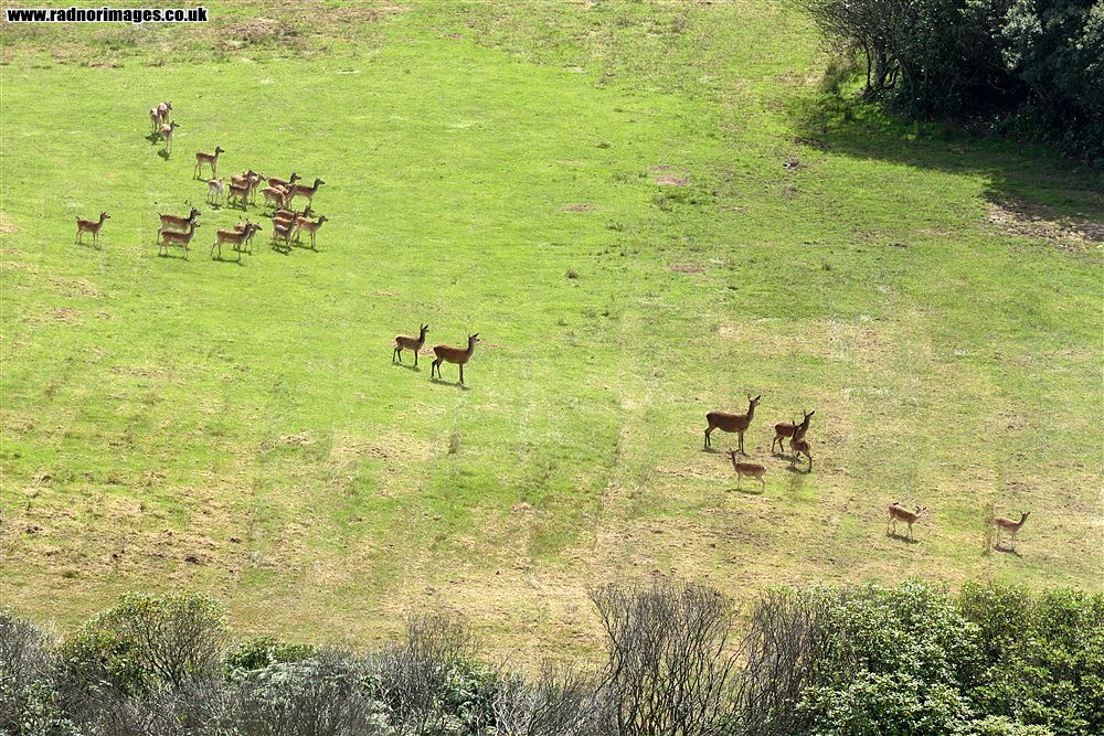 Margam Park