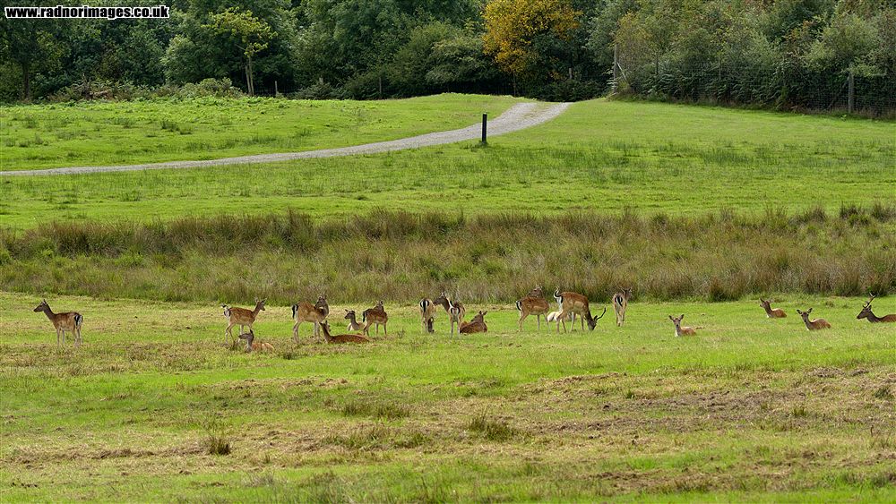 Margam Park