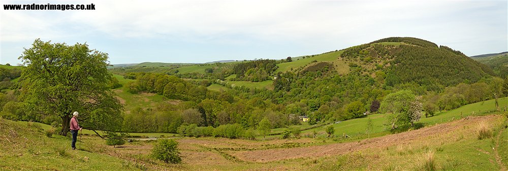 Mynydd Bach Trecastell