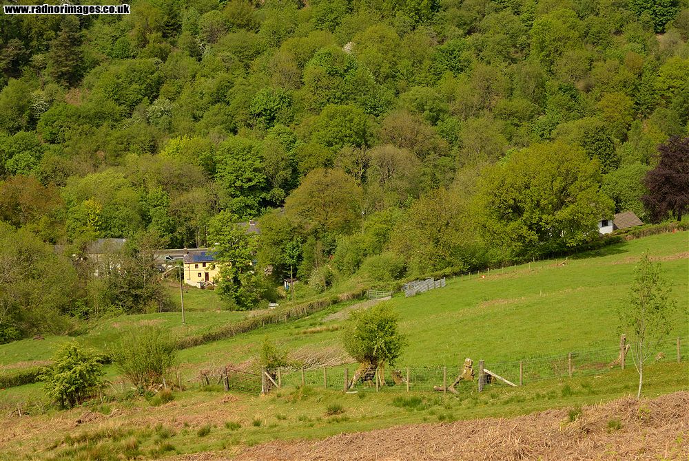 Mynydd Bach Trecastell