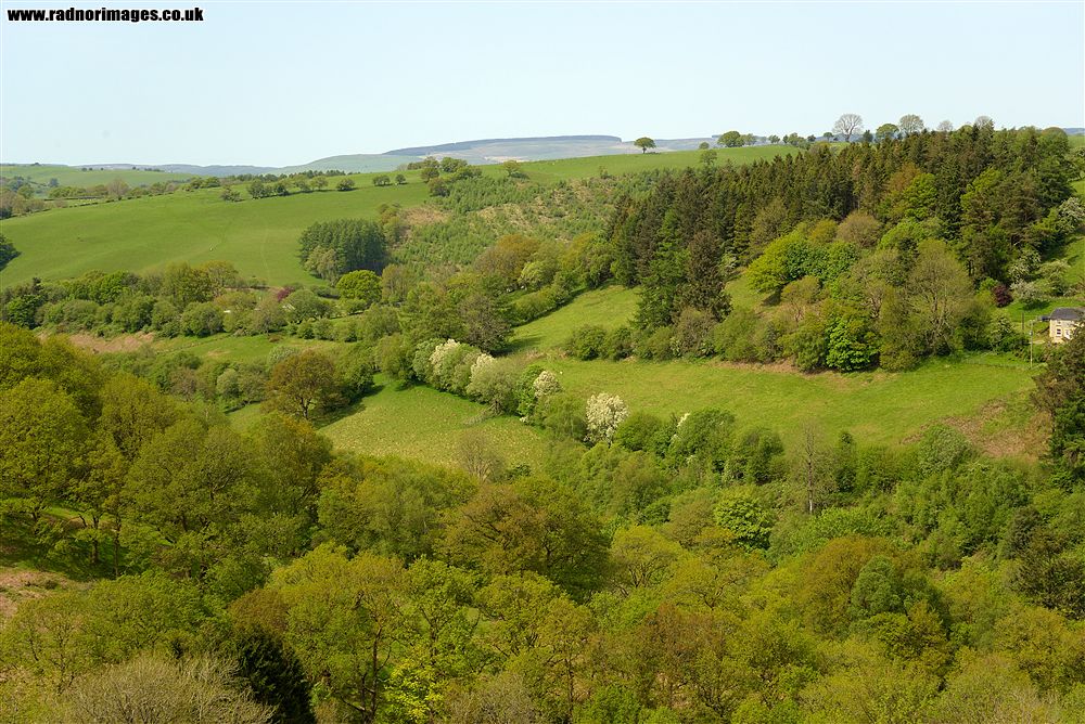 Mynydd Bach Trecastell