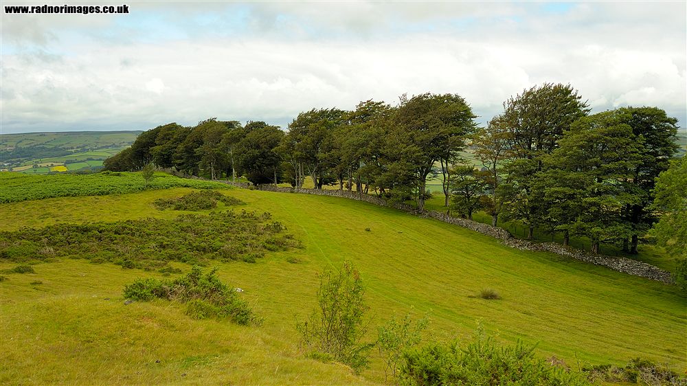 Mynydd Illtud