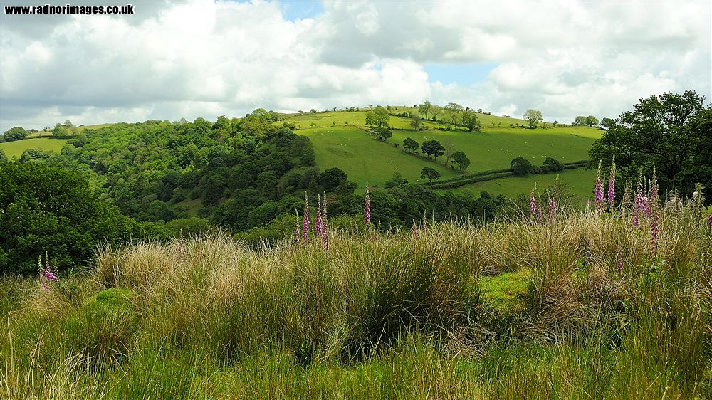 Mynydd Llansadwrn