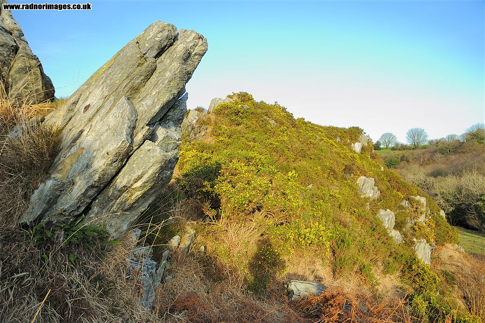 Mynydd Preseli