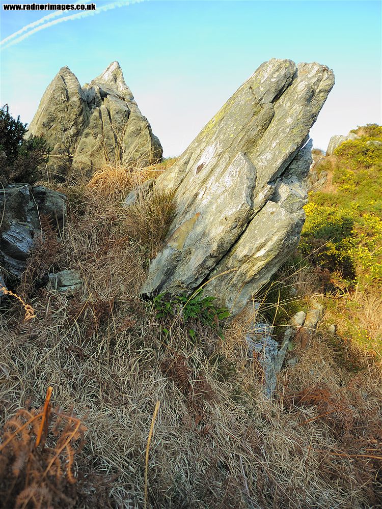 Mynydd Preseli