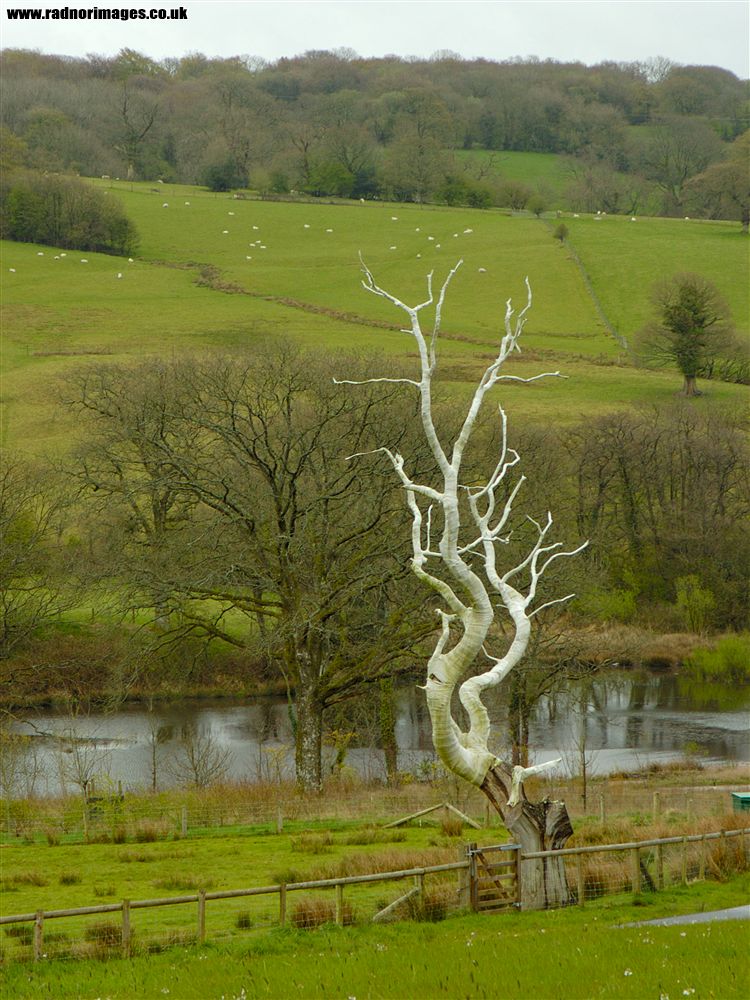 National Botanic Garden of Wales