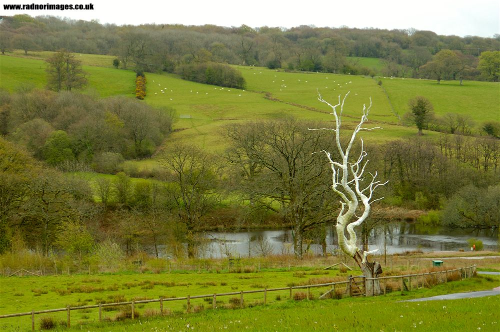 National Botanic Garden of Wales