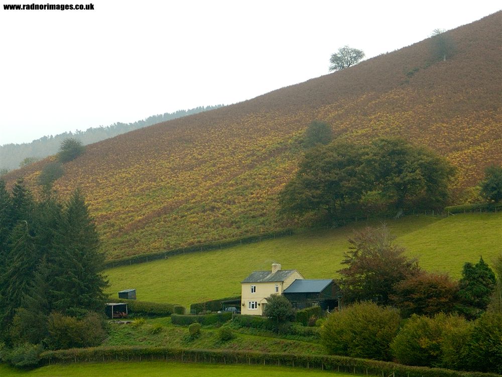 Offa's Dyke