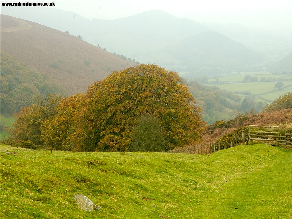 Offa's Dyke