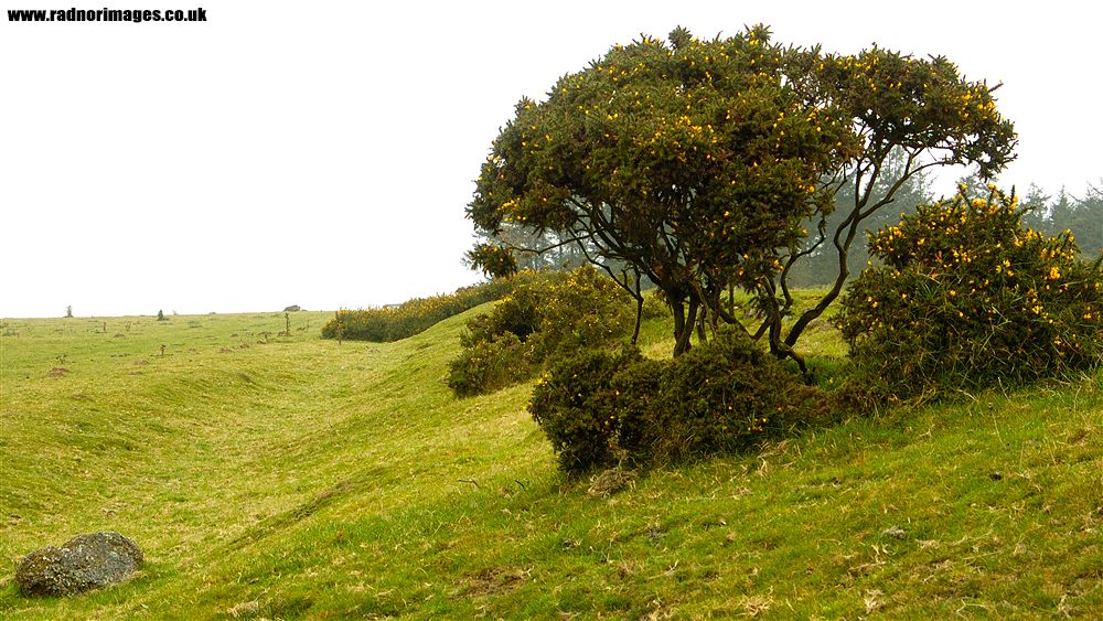 Offa's Dyke