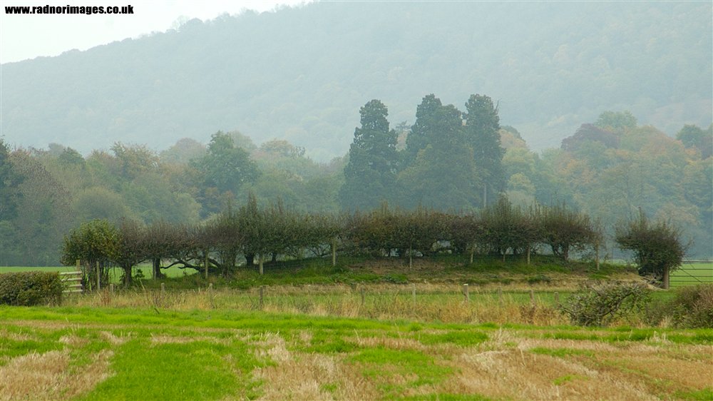 Offa's Dyke