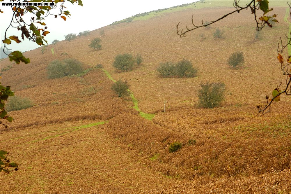 Offa's Dyke