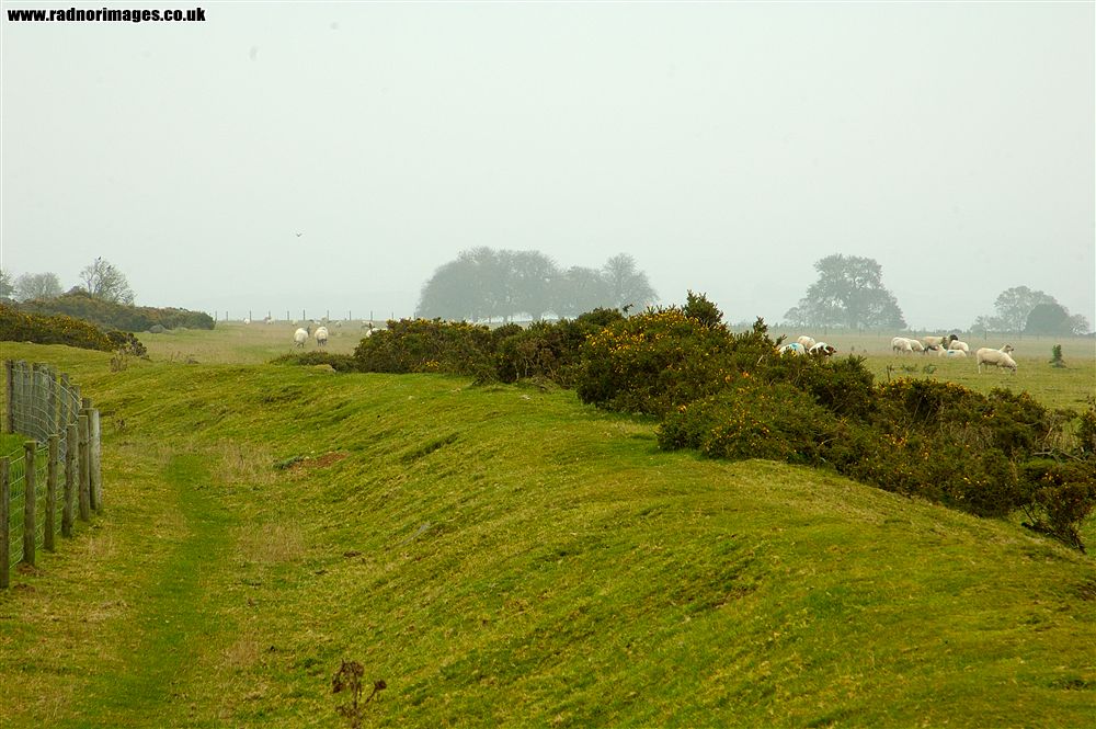 Offa's Dyke