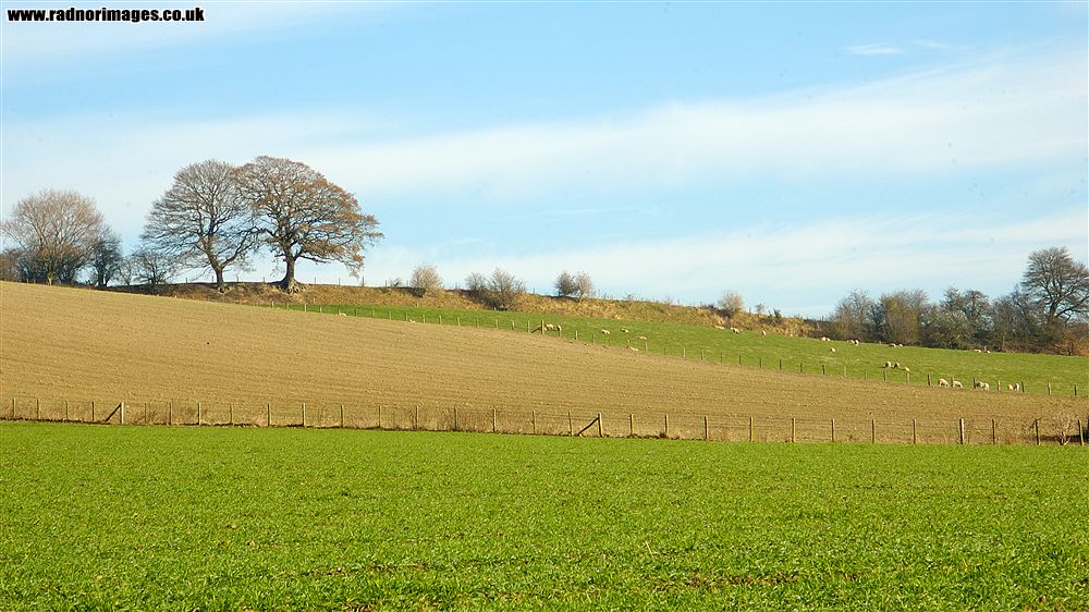 Offa's Dyke
