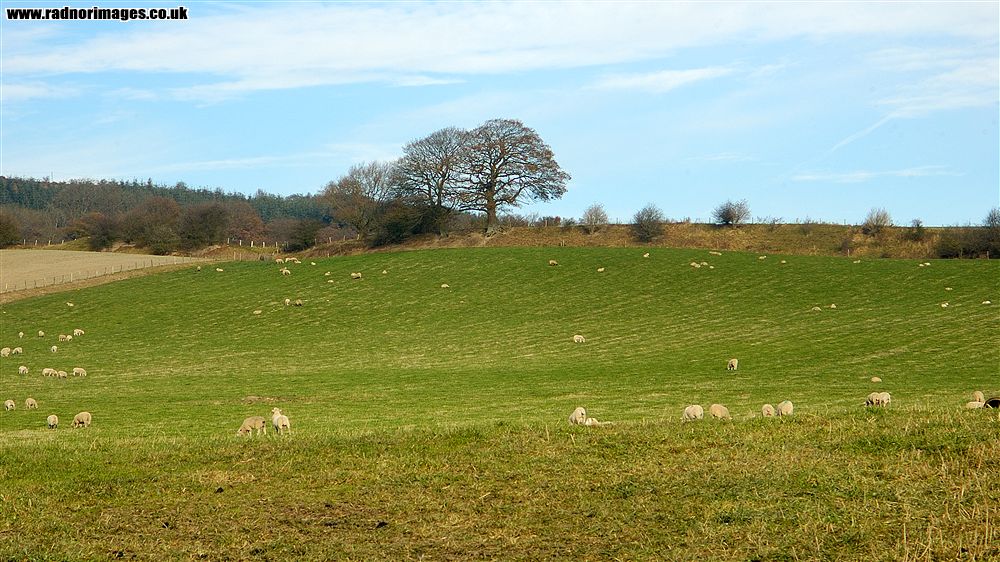 Offa's Dyke