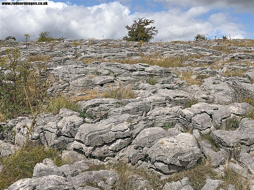 Ogof Ffynnon Ddu