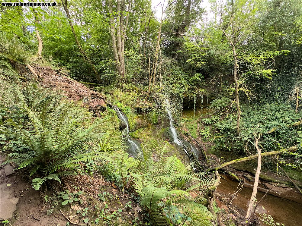 Pwll yr Wrach Reserve