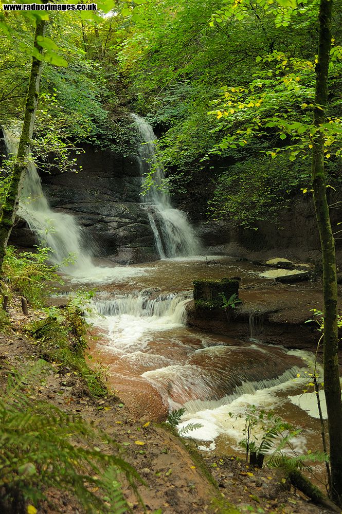 Pwll yr Wrach Reserve