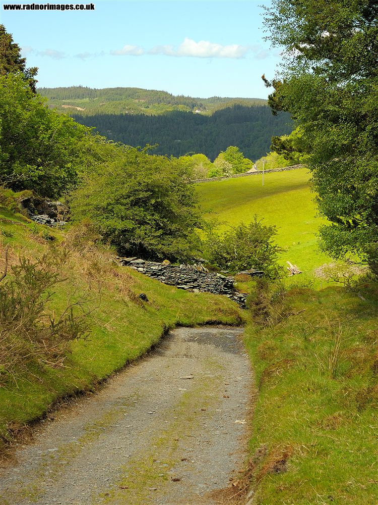 Rhiwddolion