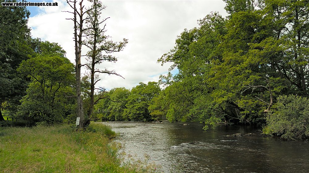 River Elan