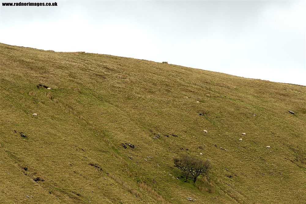 Senni Valley