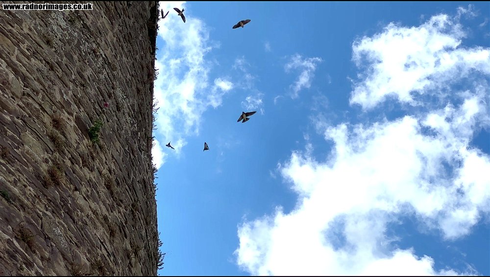 Tretower