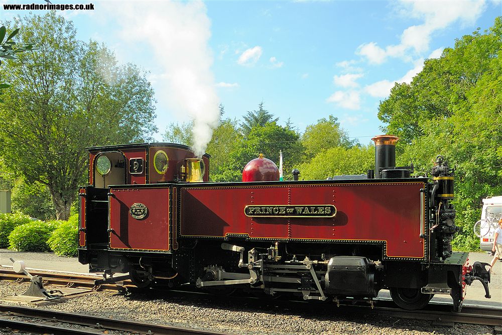 Vale of Rheidol Railway