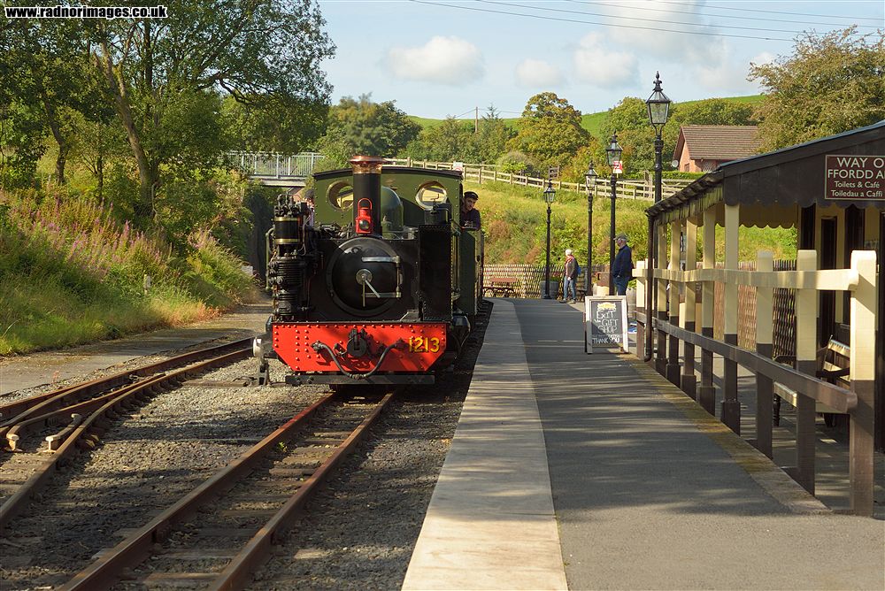 Vale of Rheidol Railway