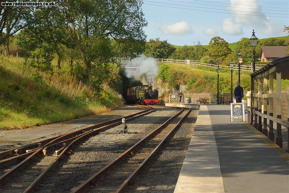 Vale of Rheidol Railway