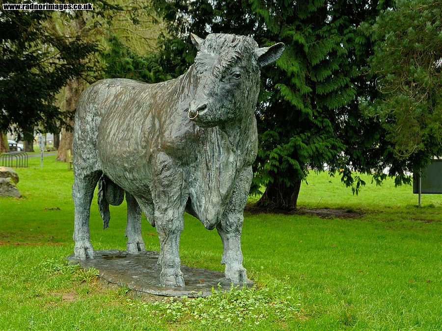 Welsh Black Bull Bronze