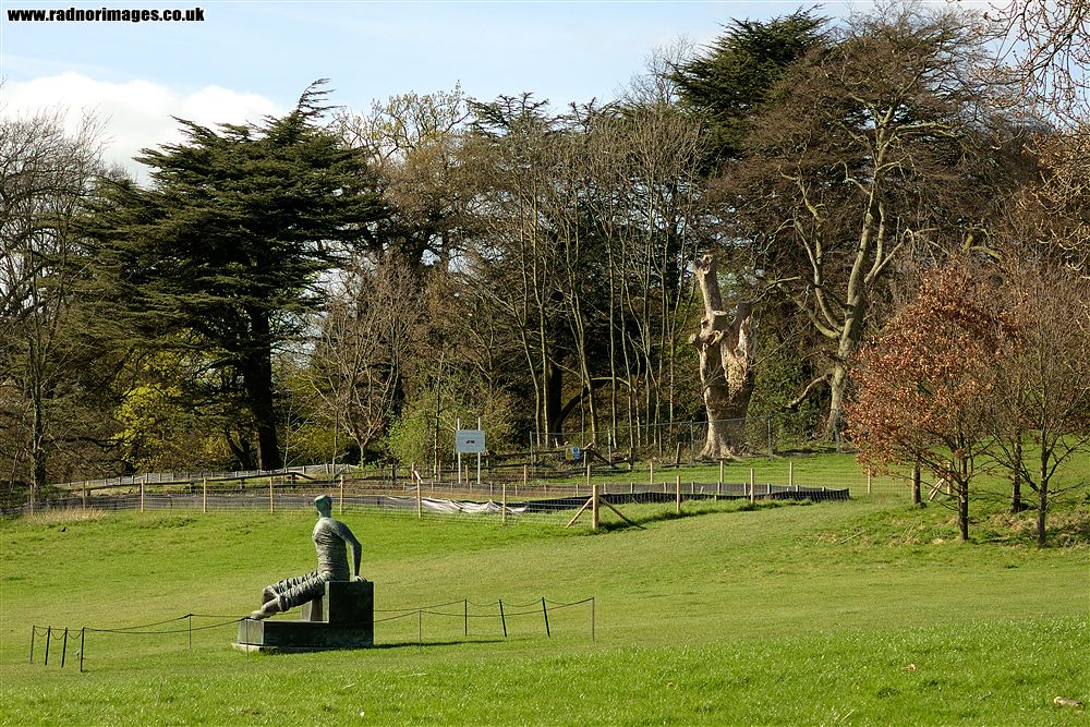 Yorkshire Sculpture Park