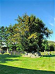 Grave of David ap Gwilym