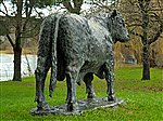 Welsh Black Bull Bronze