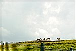 Bere Peninsula