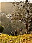 Whyteleafe